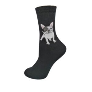 francia buldog kutya