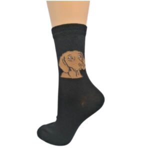 vizsla kutyás zokni