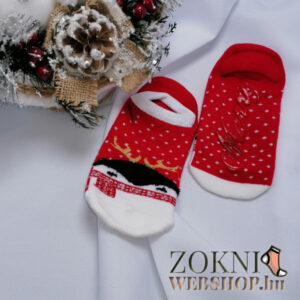 mikulásos zoknimamusz SNDV7729-pingvin