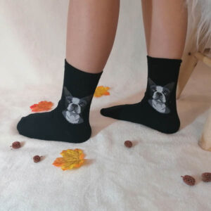 francia buldog zokni új