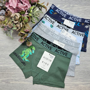 fiú boxer dínó mintás GFR1621